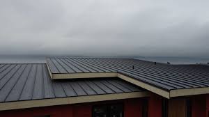 Best Steel Roofing  in Shallotte, NC